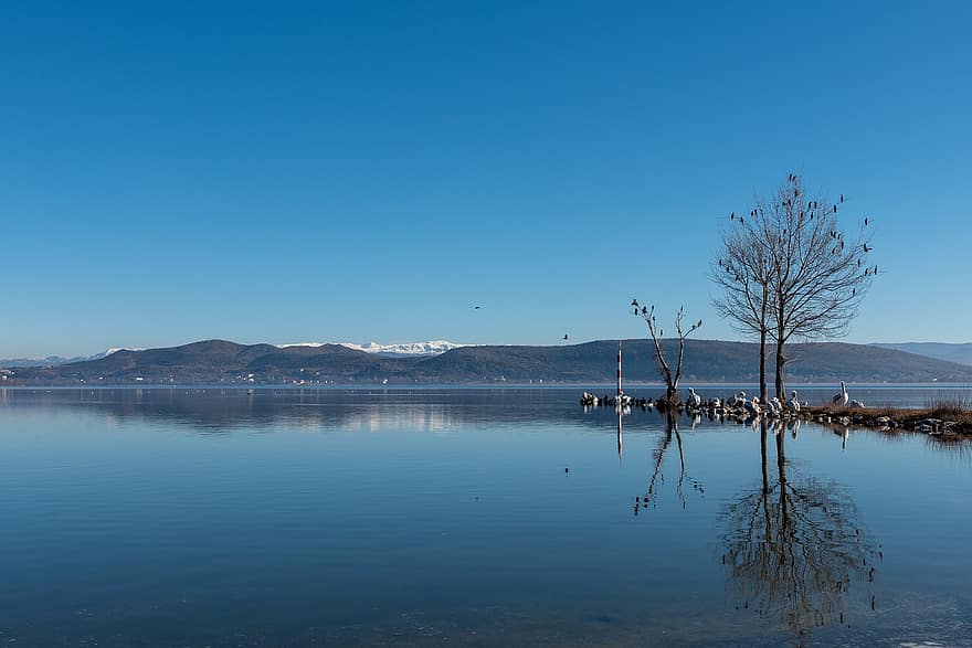 meer, vogelstand, natuur, bergen, boom, neergestreken, lakeside, winter, koude, toneel-, Kastoria