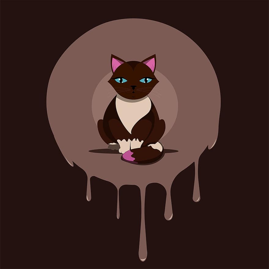 Cat, Chocolate, Cute, Pet, Animal, Candy, Dessert, Confectionery, Pink