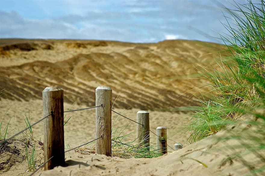 zand, duinen, weg, oceaan, strand, zee, grote Oceaan, kust-, kustlijn, cape kiwanda, Oregon