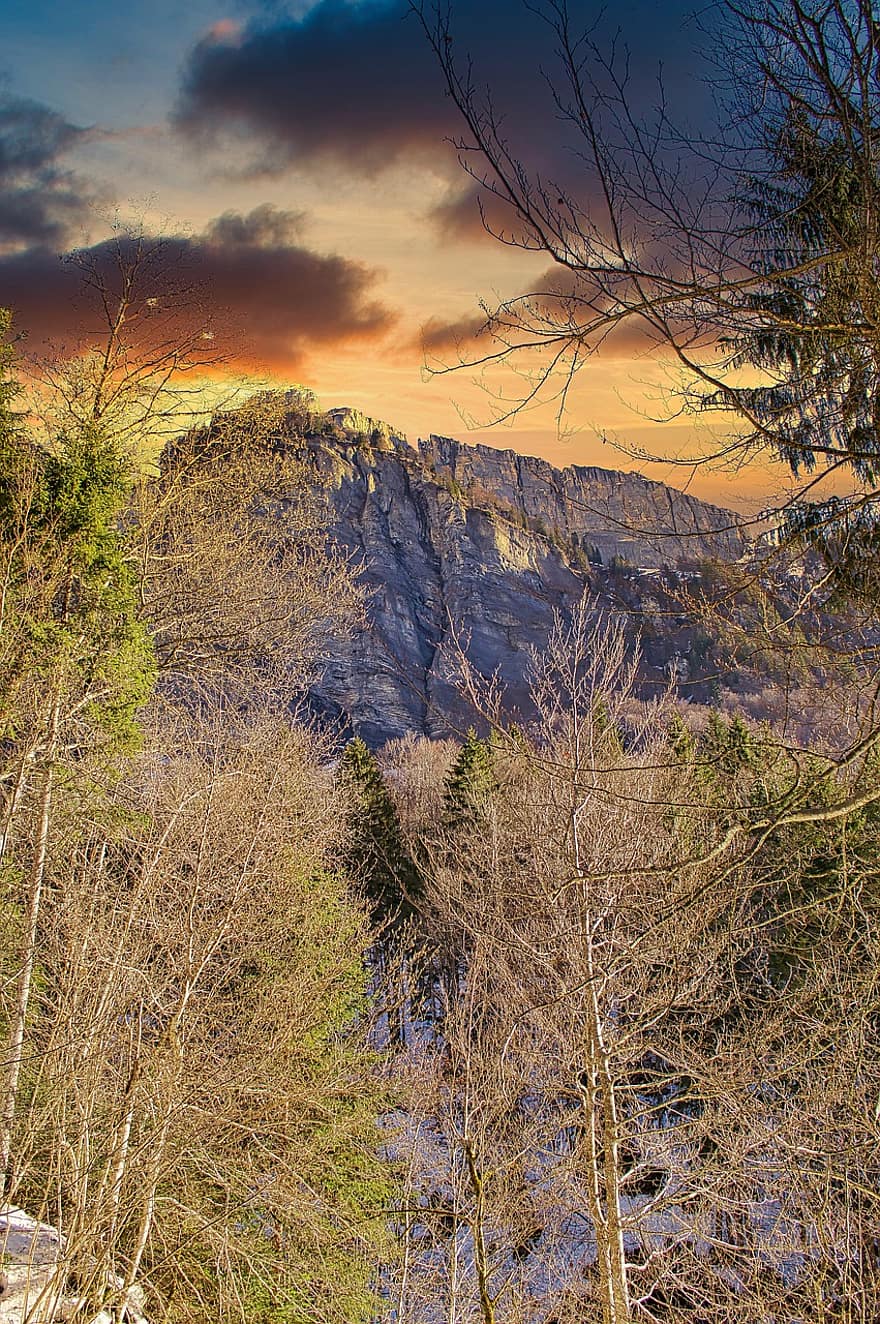Munte, brad, natură, peisaj, Sixt-potcoava, Haute-Savoie, Rhone-Alpes, Alpi, copac, pădure, iarnă