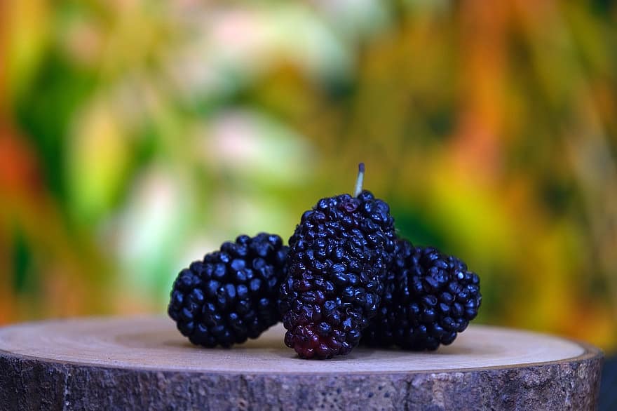 черная ягода, фрукты, свежий, питание, свежесть, крупный план, созревший, лист, здоровое питание, органический, дерево