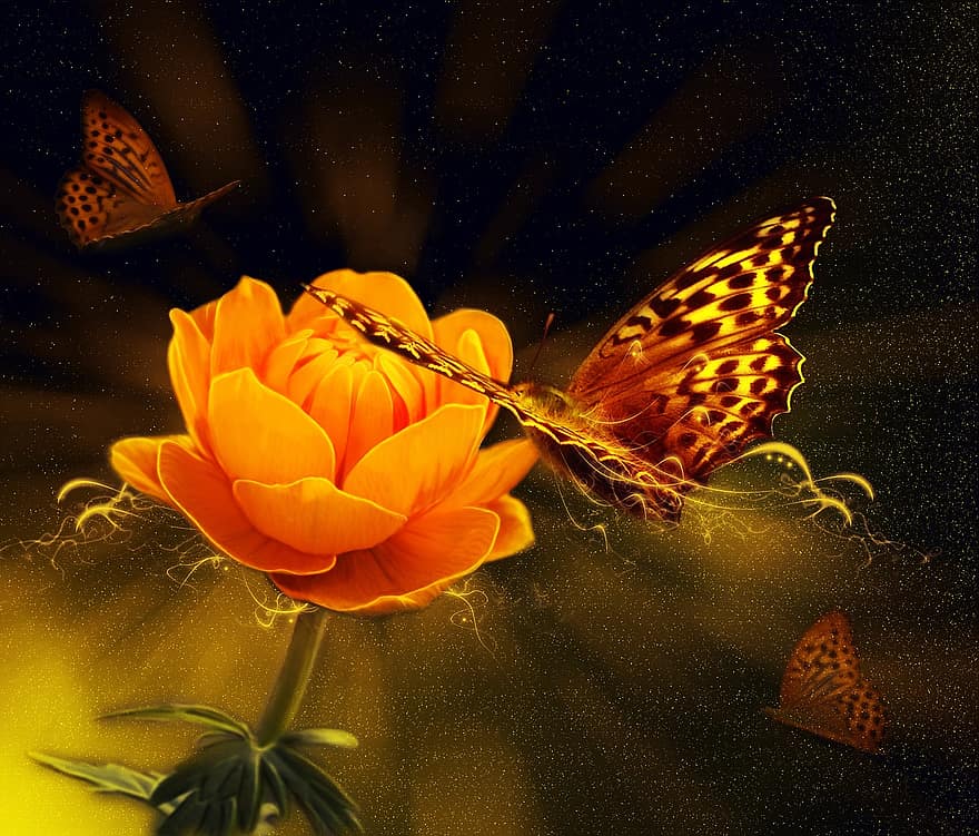 цвете, светлина, оранжев, пеперуда, природа, фантазия, приказка, цветен, заден план