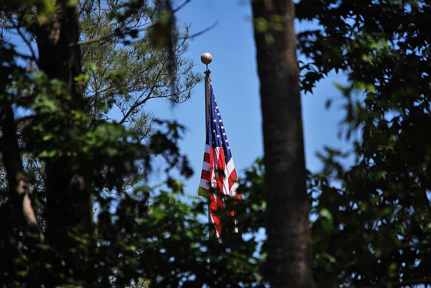 ASV karogs, koki, patriotisms, amerikāņu karogs, koks, amerikāņu kultūra, zils, ceturtais jūlijs, vasarā, dienā, valsts orientieris