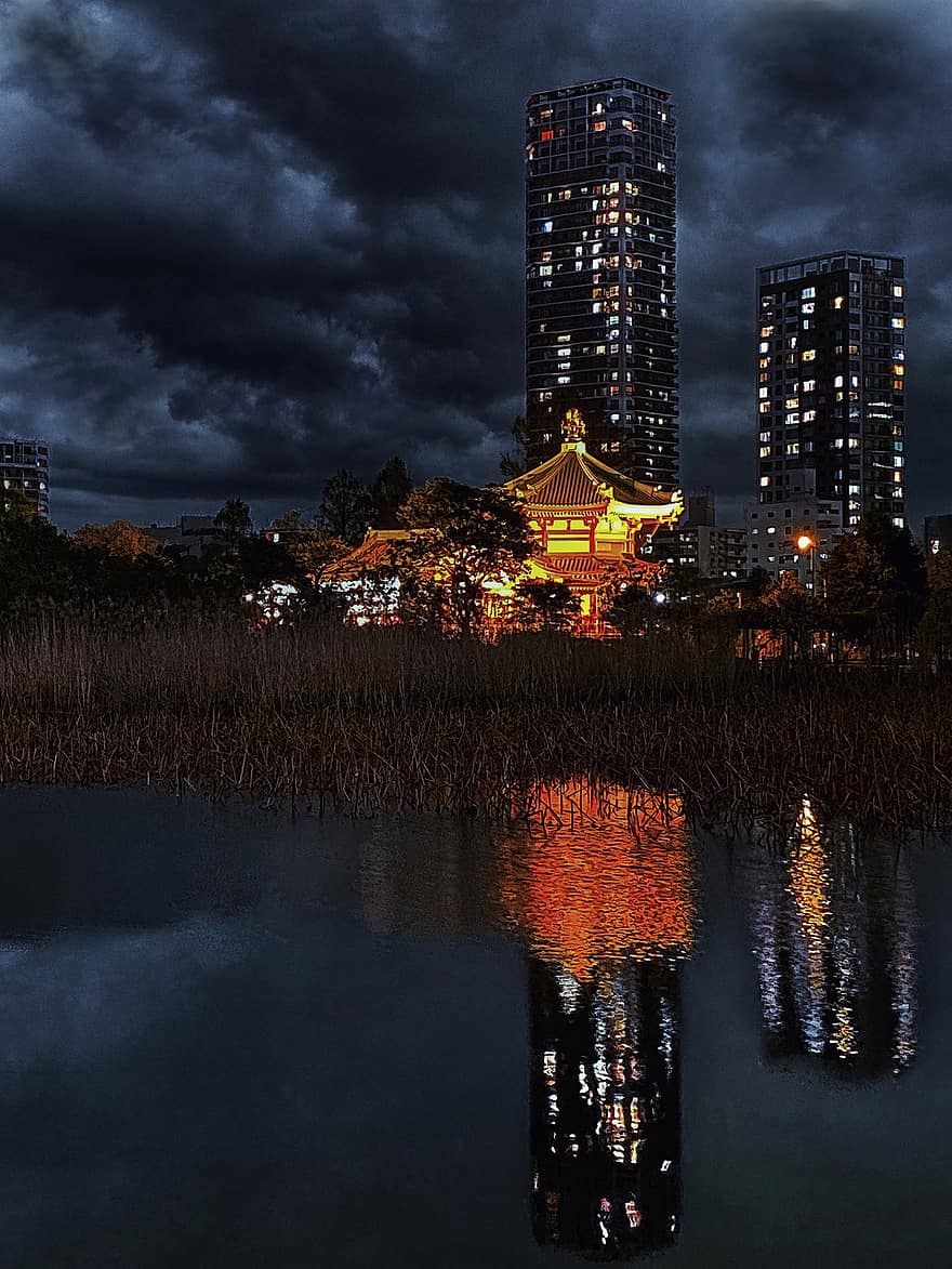 noche, Estanque Shinobazu, templo, parque ueno, ciudad de taito, tokio, Japón, Luces nocturnas, Luces de la ciudad