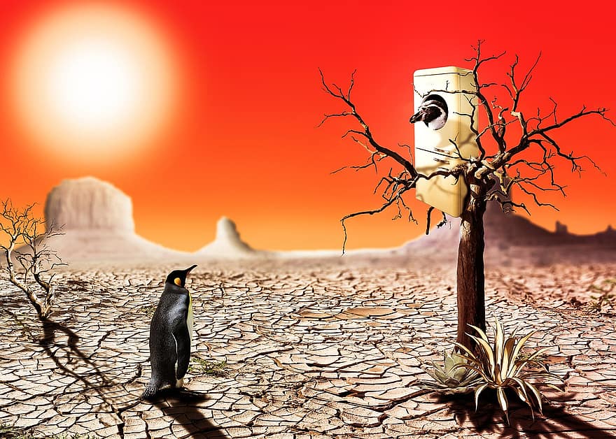 Photomontage, Penguin, Desert, Hot, Refrigerator, Aviary, Selfishness, Composition, Dry, Dehydrated, Withers
