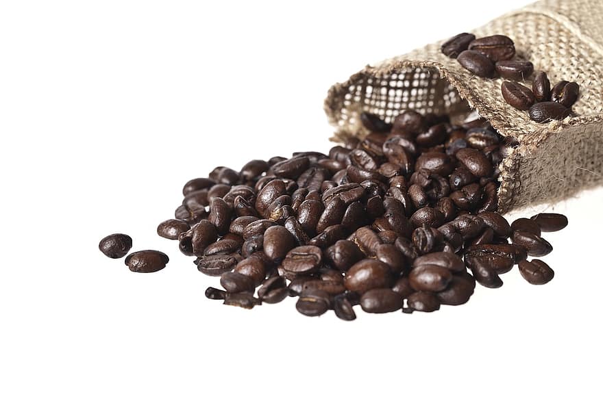 Kávová zrna, opečený, káva, pohár, fazole, semena, kofein, kavárna, jídlo, napít se, Černá káva