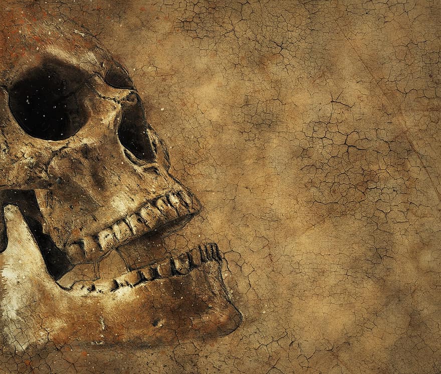 crâne, Contexte, texture, mort, squelette, ancien, rétro, fissure, sol, décoratif, page