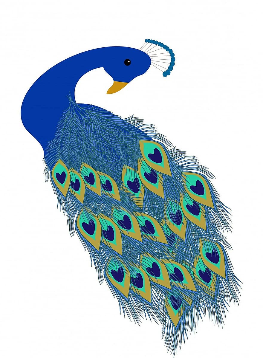 孔雀、クジャク、鳥、綺麗な、アート、フェザー、羽毛、青