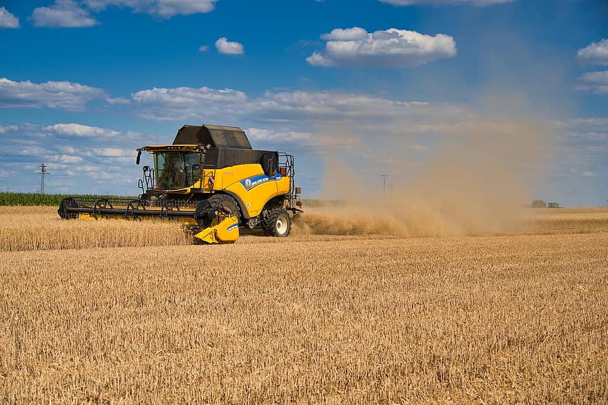kombajn, zemědělství, sklizeň pšenice, pšenice, pšeničné pole, sklizeň, letní, suchý, sucho, pole, zemědělský stroj