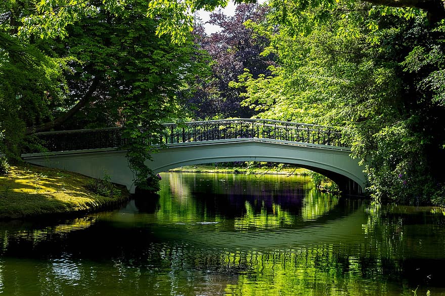 landskap, palats trädgård, slottspark, bro, vatten, damm, natur, parkera, träd, sommar, grön färg