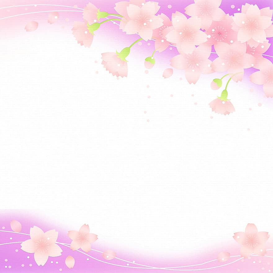 Sakura digitális papír, cseresznye virágok, rózsaszín, japán, Sakura, virágos, tavaszi, virágzás, természet, ág, cseresznye