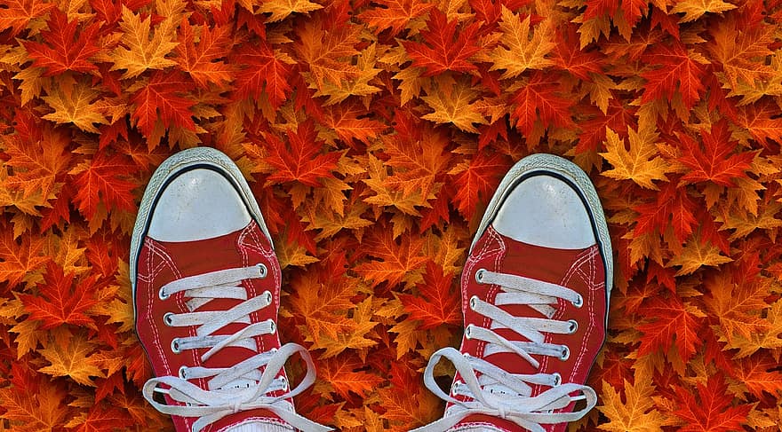 الخريف ، سقوط ورق النبتة ، طبيعة ، حذاء ، حذاء رياضة ، حذاء رياضي ، قدم ، في أزواج ترتيب ، موضه ، احمر ابيض ، أحذية رياضية