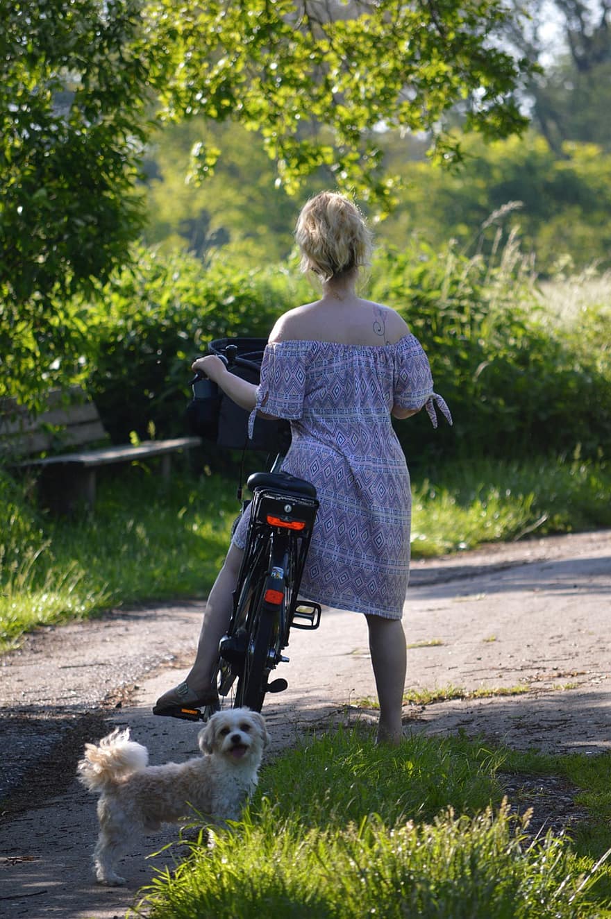 femeie, Plimbare cu bicicleta, în aer liber, fată, câine, bicicletă, Tur cu bicicleta, vară, peisaj, natură, femeie blondă