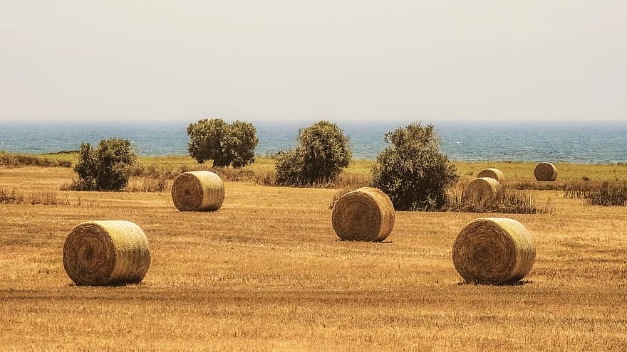 Hay, Straw, Bale, Agriculture, Rural, Countryside, Harvest, Field, Meadow, Landscape, Barley