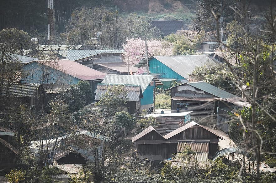 Houses, Roofs, Village, Trees, Forest, Peach Blossom, Vitality, Birds