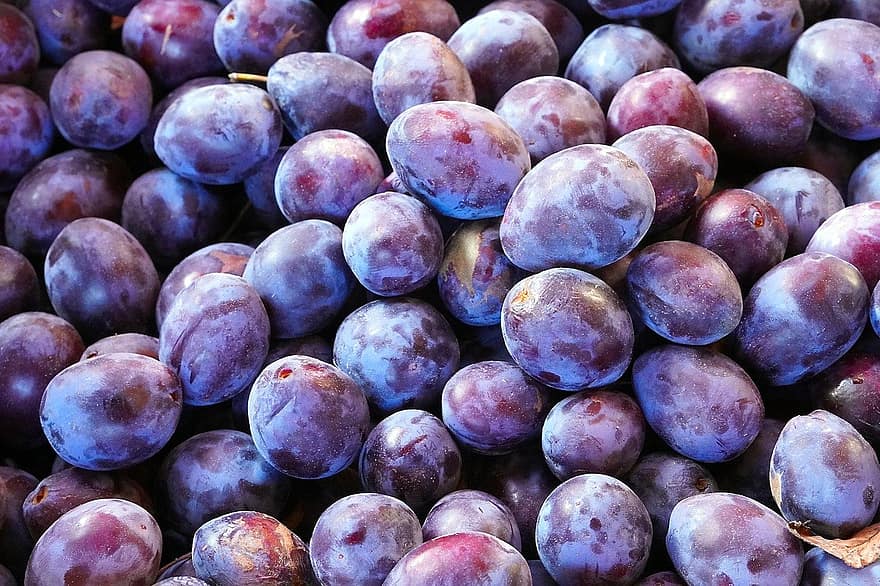 fruit, plums, harvest, food, close-up, freshness, ripe, backgrounds, organic, healthy eating, grape