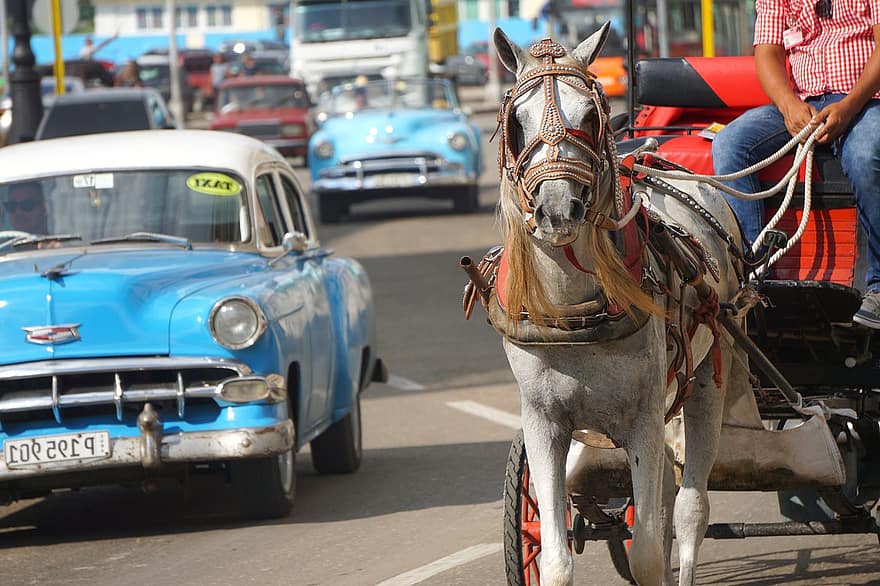 cheval, le chariot, des voitures, ville, ancien, classique, auto, cadillac, Voyage, antique, tourisme