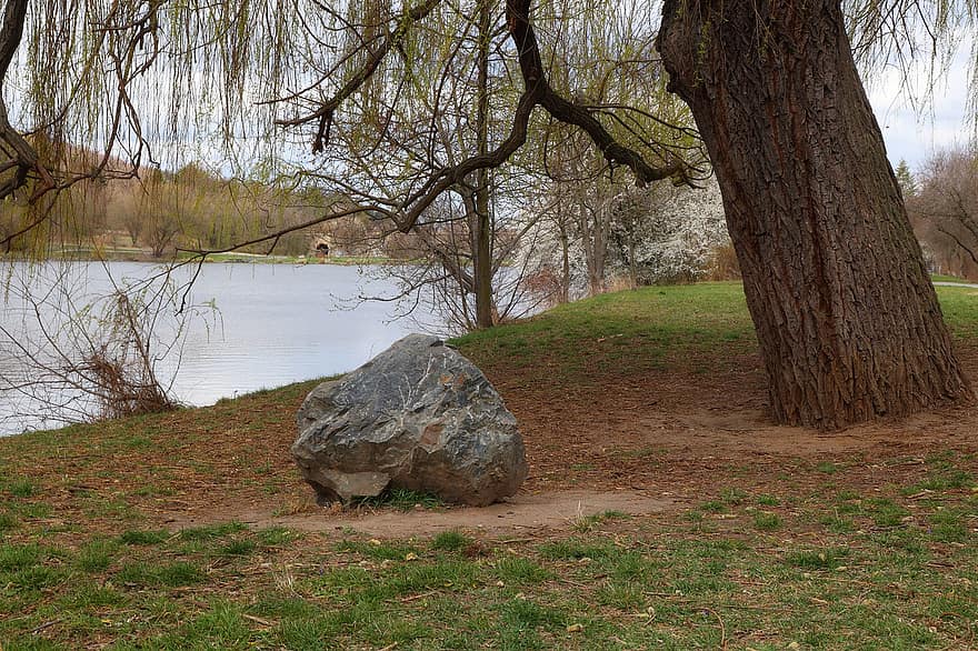 Tree, Stone, Lake, River, Lawn, Spring, Green, Forest, grass, landscape, autumn