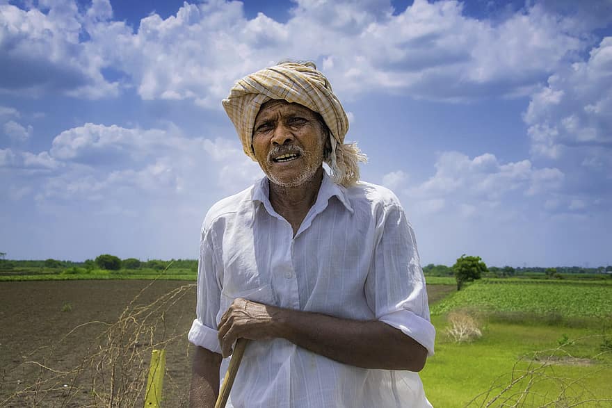 lauksaimnieks, Indija, mohans, nannapaneni, lauksaimniecību
