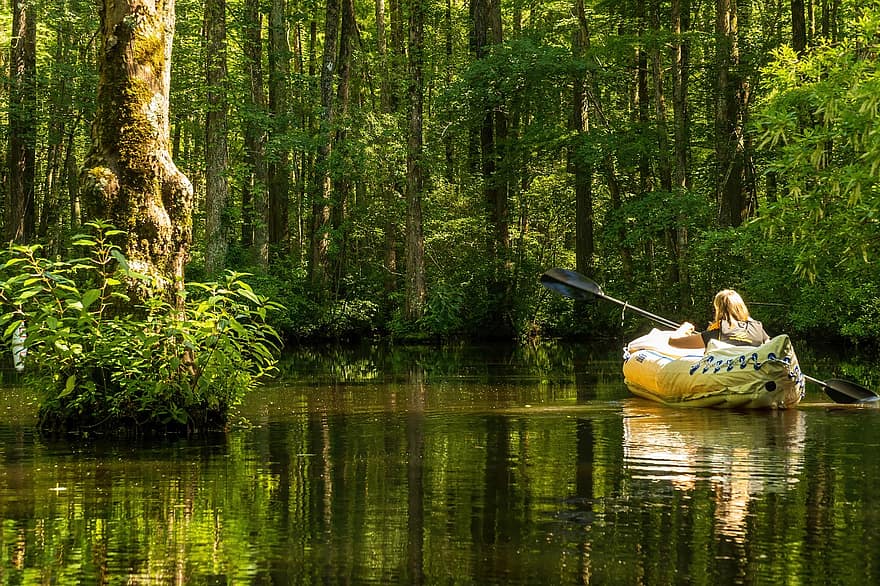 milp giây, Cypress Swamp, chèo xuồng, Kayak Paddler, cây bách, đầm lầy, phong cảnh, Thiên nhiên, đất ngập nước, ngoài trời, phản xạ