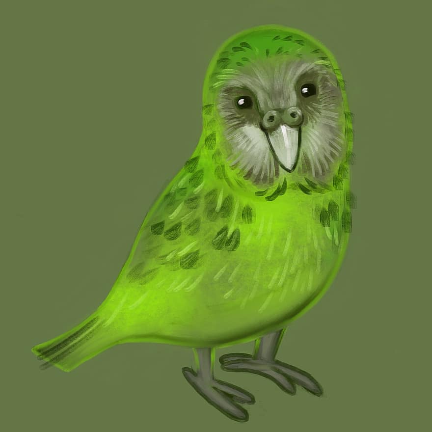 ocell, kakapo, lloro, dibuix, pintura, verd