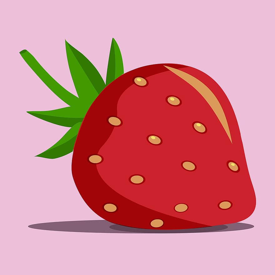fruct, căpșună, organic, boabă, desen, schiță, alimente, desen animat, desert