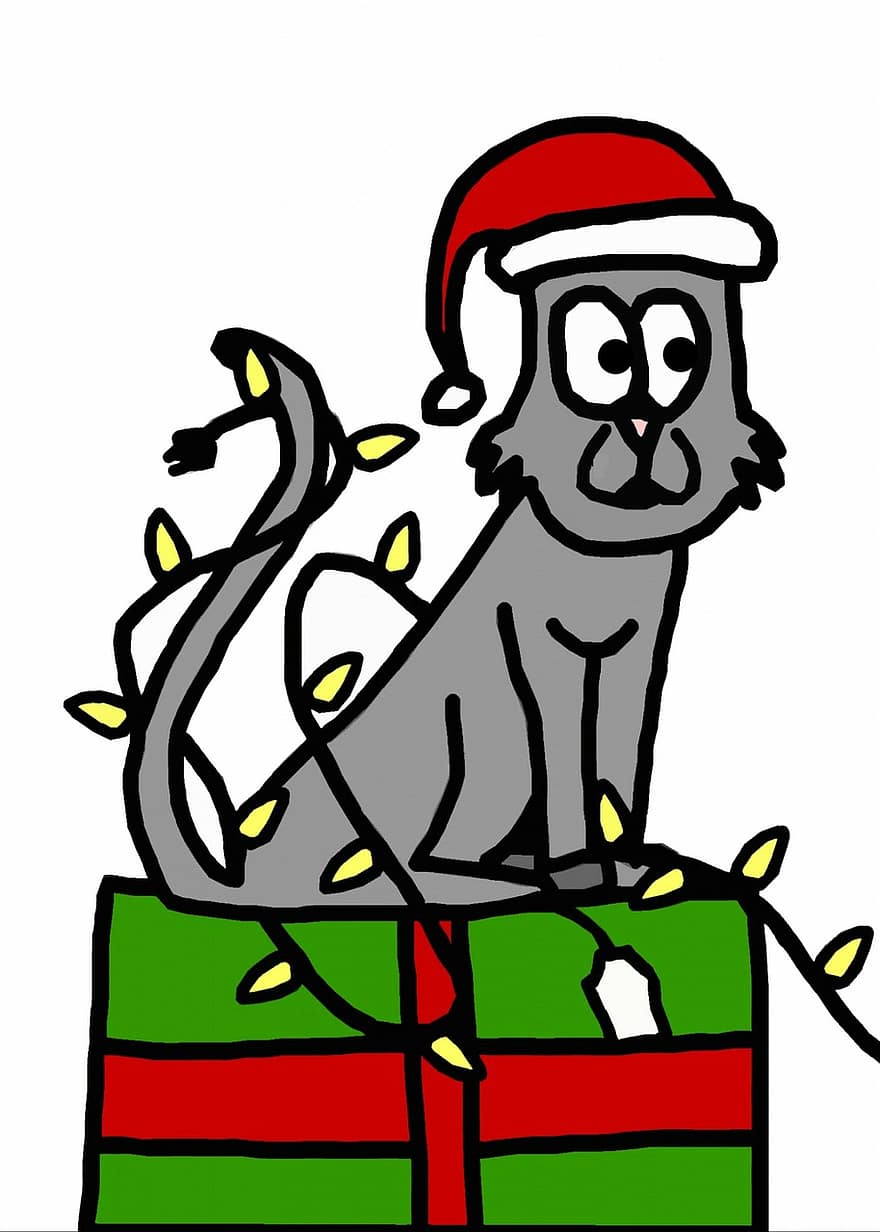 คริสต์มาส, วันหยุด, แมว, ลูกแมว, กองทุน, ของแมว, ของขวัญ, ปัจจุบัน, ไฟ, หมวก