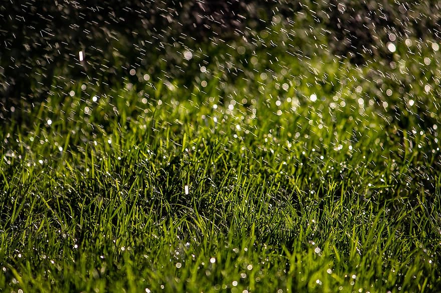 HD обои, обои природы, трава, дождь, луг, природа, весна, обои на стену, телефон обои, зеленого цвета, фоны