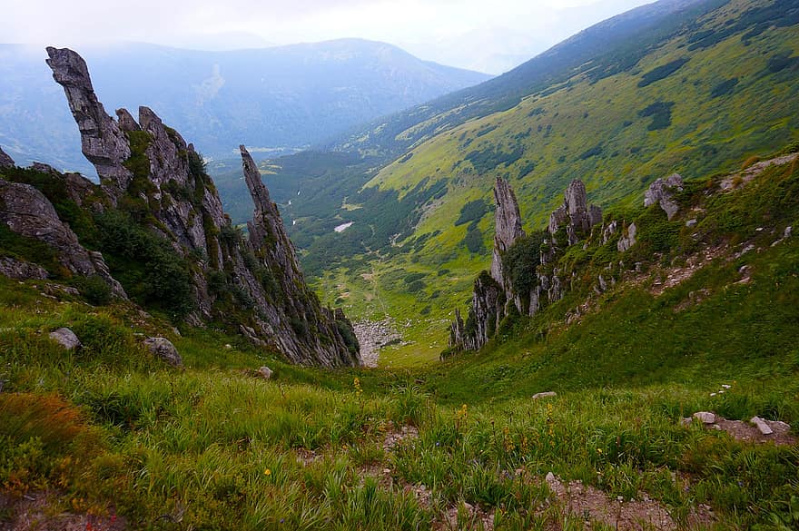 カルパティア山脈、カルパティア、山岳、ヨーロッパ、自然、山、草、風景、山頂、夏、牧草地