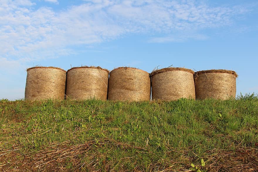 Hay, Agriculture, Farm, Countryside, Grass