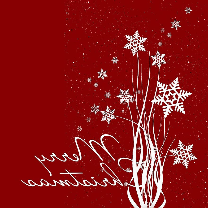 коледна картичка, Коледа, червен, бял, сняг, звезда, светлина, идване, Бъдни вечер, атмосфера, декември