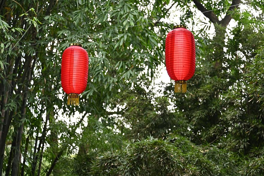 latarnia, festiwal, dekoracja, tradycyjny, kultury, uroczystość, tradycyjny festiwal, chińska kultura, wiszące, chińska latarnia, drzewo