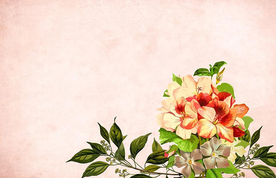 Flower, Floral, Background, Border, Garden Frame, Vintage, Card, Art, Wedding, Design, Hand Made