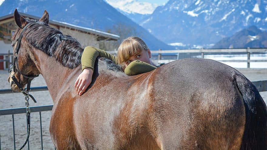con ngựa, thú vật, con gái, ngựa nâu, động vật có vú, ngựa, người phụ nữ trẻ, yêu và quý, bạn bè, sự gần gũi, kết nối