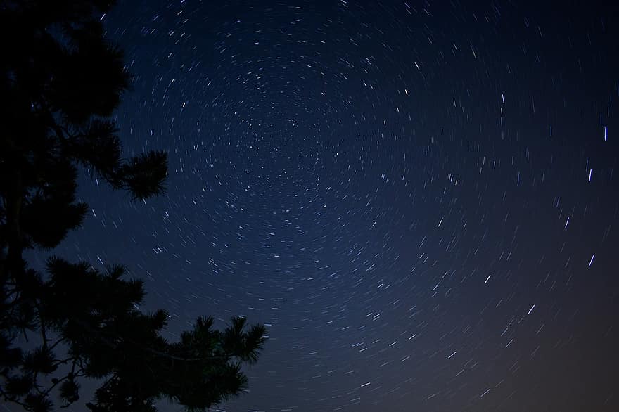 Zirkumpolarer Stern, Himmel, Nacht-, Sterne, Konstellation, sternenklarer Himmel, Nachthimmel, Silhouette, Bäume, Galaxis, Universum