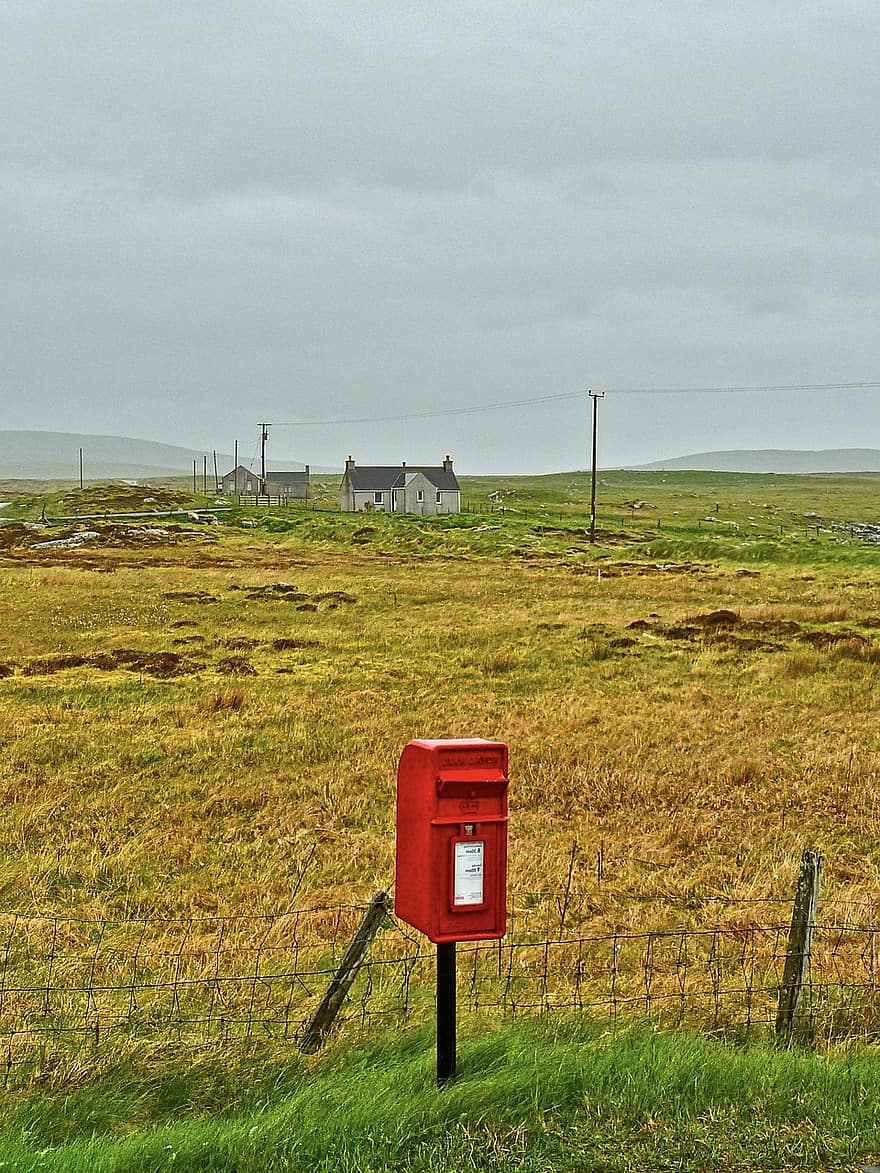 letterbox, natura selvaggia, all'aperto, rurale, campo, cassetta postale, erba, scena rurale, posta, azienda agricola, paesaggio