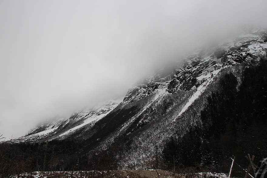hora, plošina, mlha, zimní, sníh, cestovat, průzkum