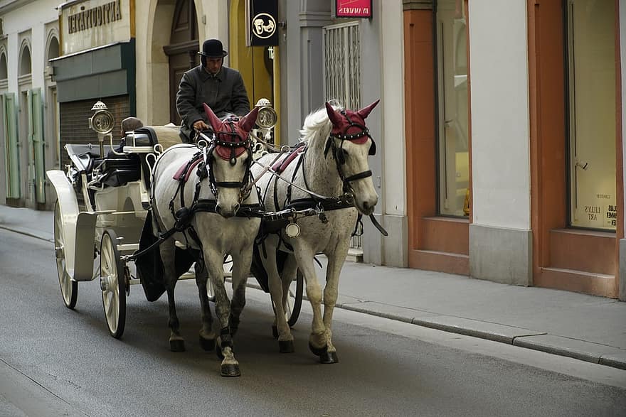 кон, превоз, туризъм, fiaker, Виена, транспорт, начин на транспорт, хора, култури, езда, скорост