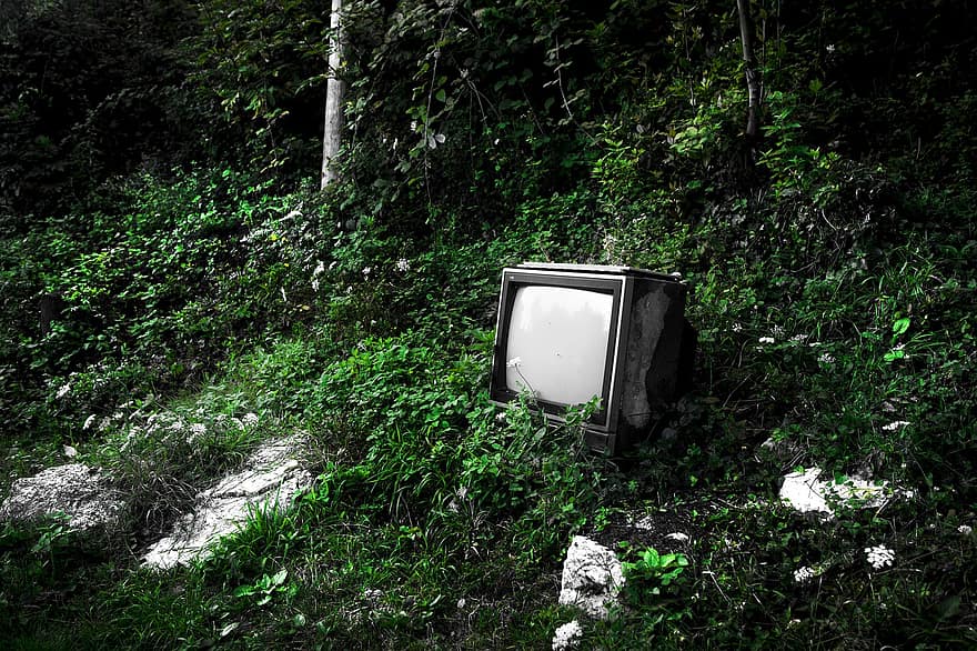 televisión, bosque, tecnología vieja, naturaleza, tugurio, antiguo, anticuado, sucio, obsoleto, abandonado, set de televisión