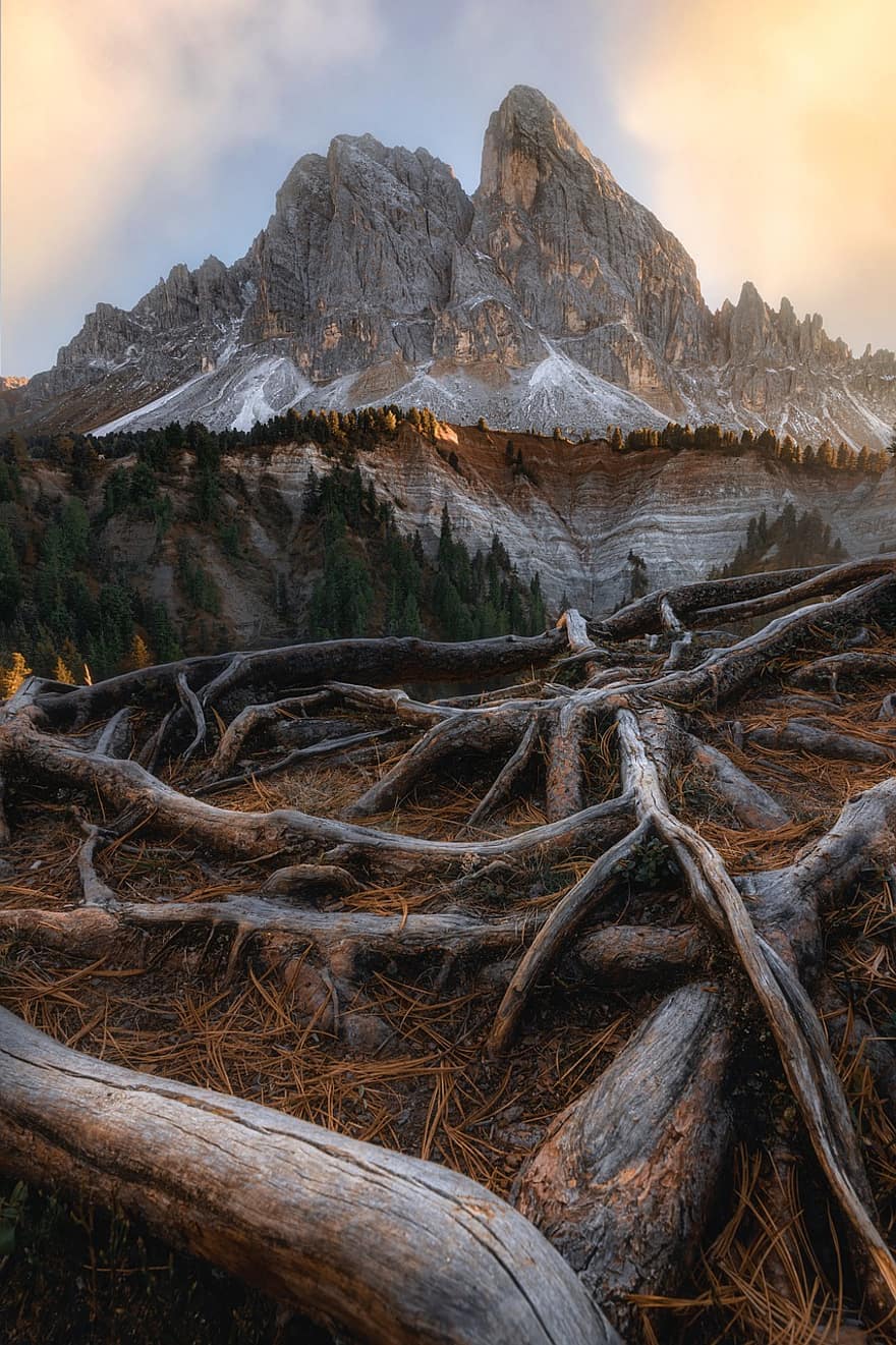 Nature, Mountain, Travel, Exploration, Outdoors, Dolomites, Italy, Würzjoch, Roots, Alps