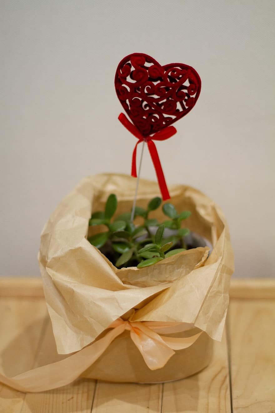 Valentīndiena, mīlestība, zieds, pušķis, dāvana, pārsteigums, lapas, sirds forma, tuvplāns, romantika, papīrs