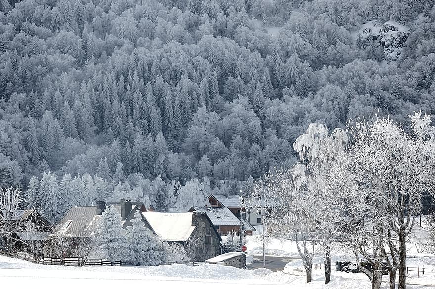 neve, inverno, aldeia, alpe du grand serre, arvores, montanha, panorama, frio, abeto, floresta, natureza