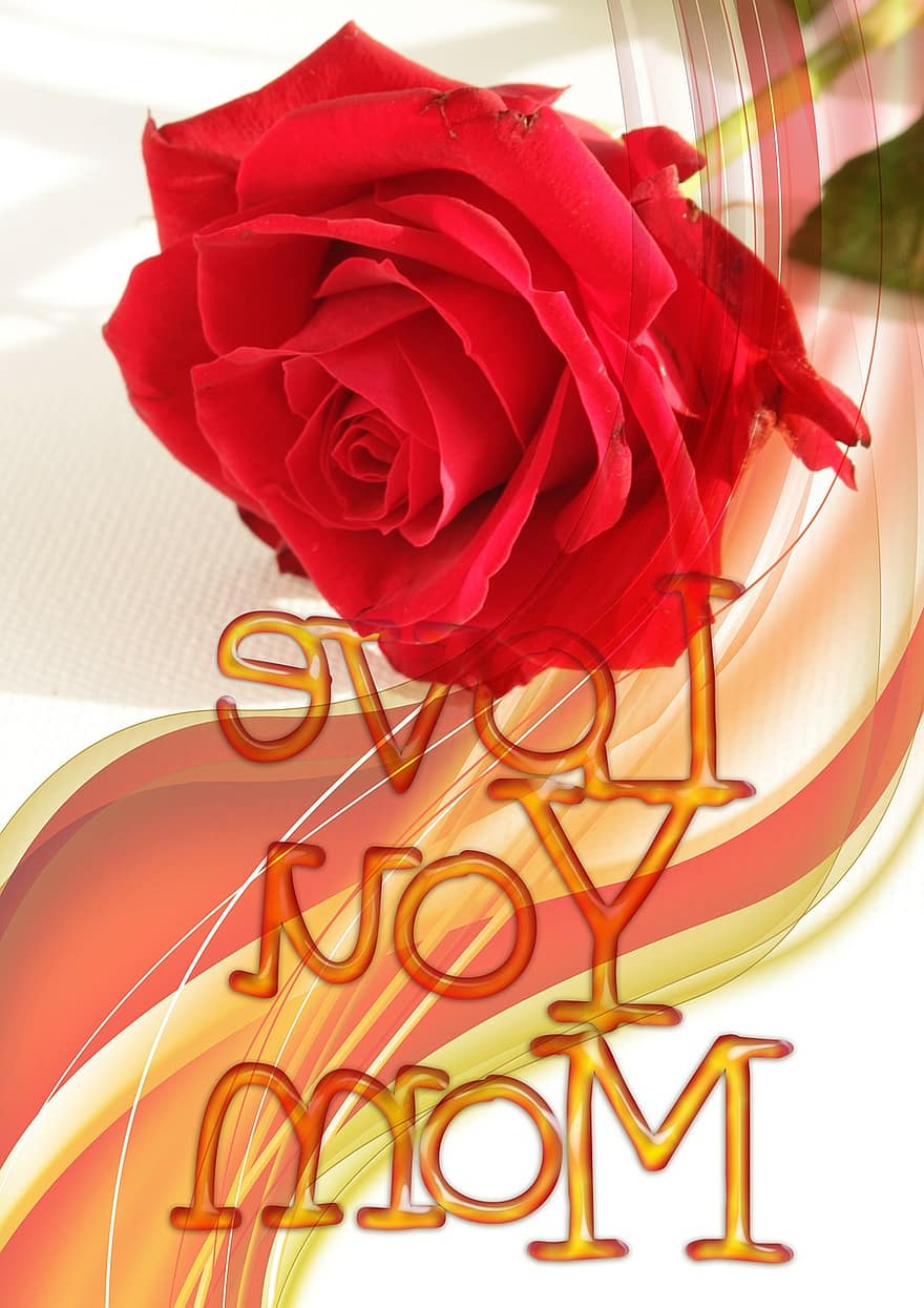 tim, đỏ, Hoa hồng, bông hoa, hoa, ngày của Mẹ, yêu và quý, cảm xúc, ngày lễ tình nhân, lòng biết ơn