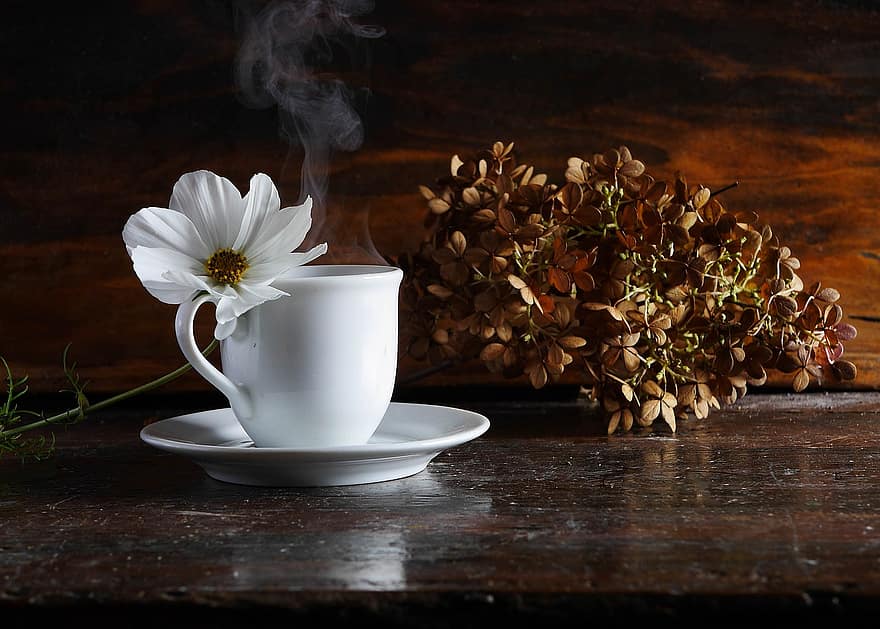 floare, toamnă, cafea, băutură, ceai