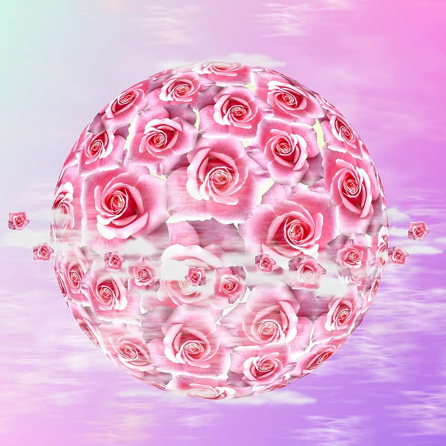 Rosa, las flores, naturaleza, rosado, planta, gráfico, planeta, espacio, mundo, globo, universo