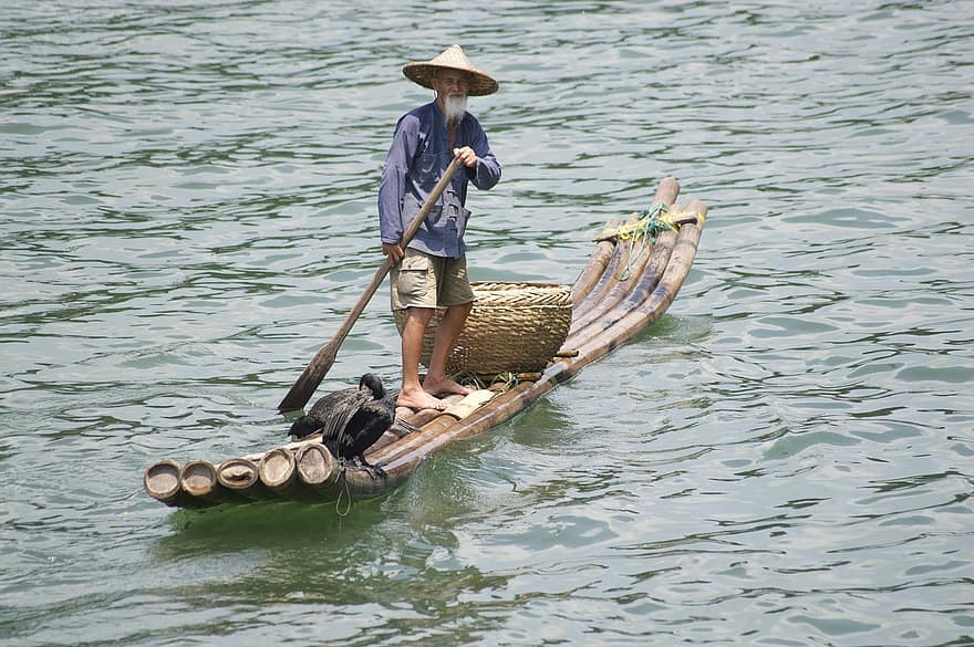 Kina, skarv, Lijiangfloden, fiske, traditionell, guilin