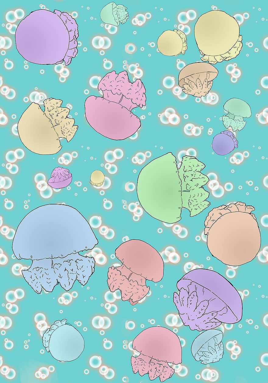 meduses, animal, translúcid, sota l'aigua, colorit, gelees, picada, naturalesa, mar, oceà, marí