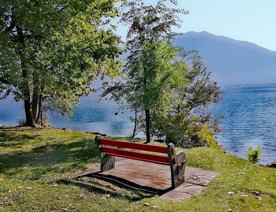 meer, natuur, reizen, exploratie, buitenshuis, Lago Maggiore, Ticino, zomer, gras, landschap, boom