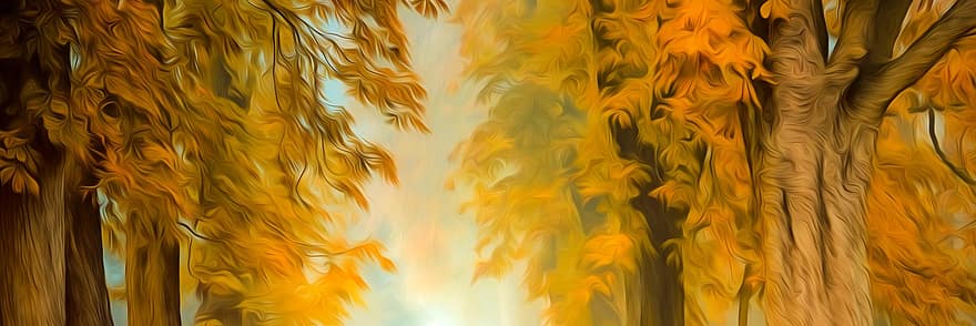 herfst, Bos, bomen, vallen, natuur, boom, geel, blad, multi gekleurd, achtergronden, seizoen