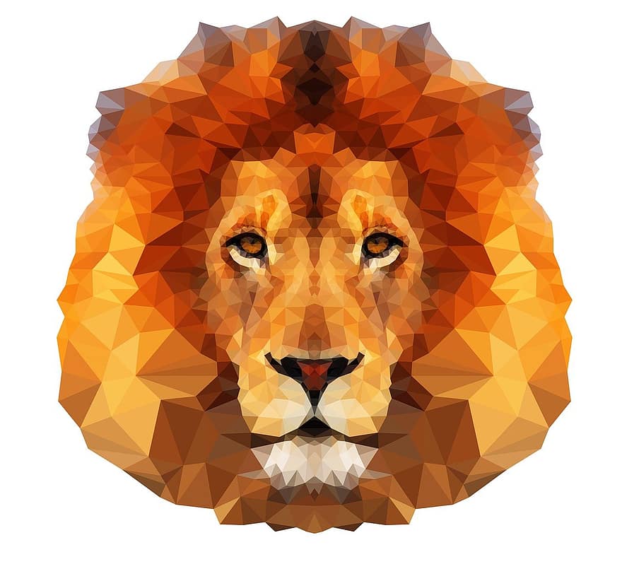 Leone, animale, predatore, testa di leone, selvaggio
